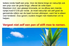 eendenkooi-nieuwsbrief-27-6